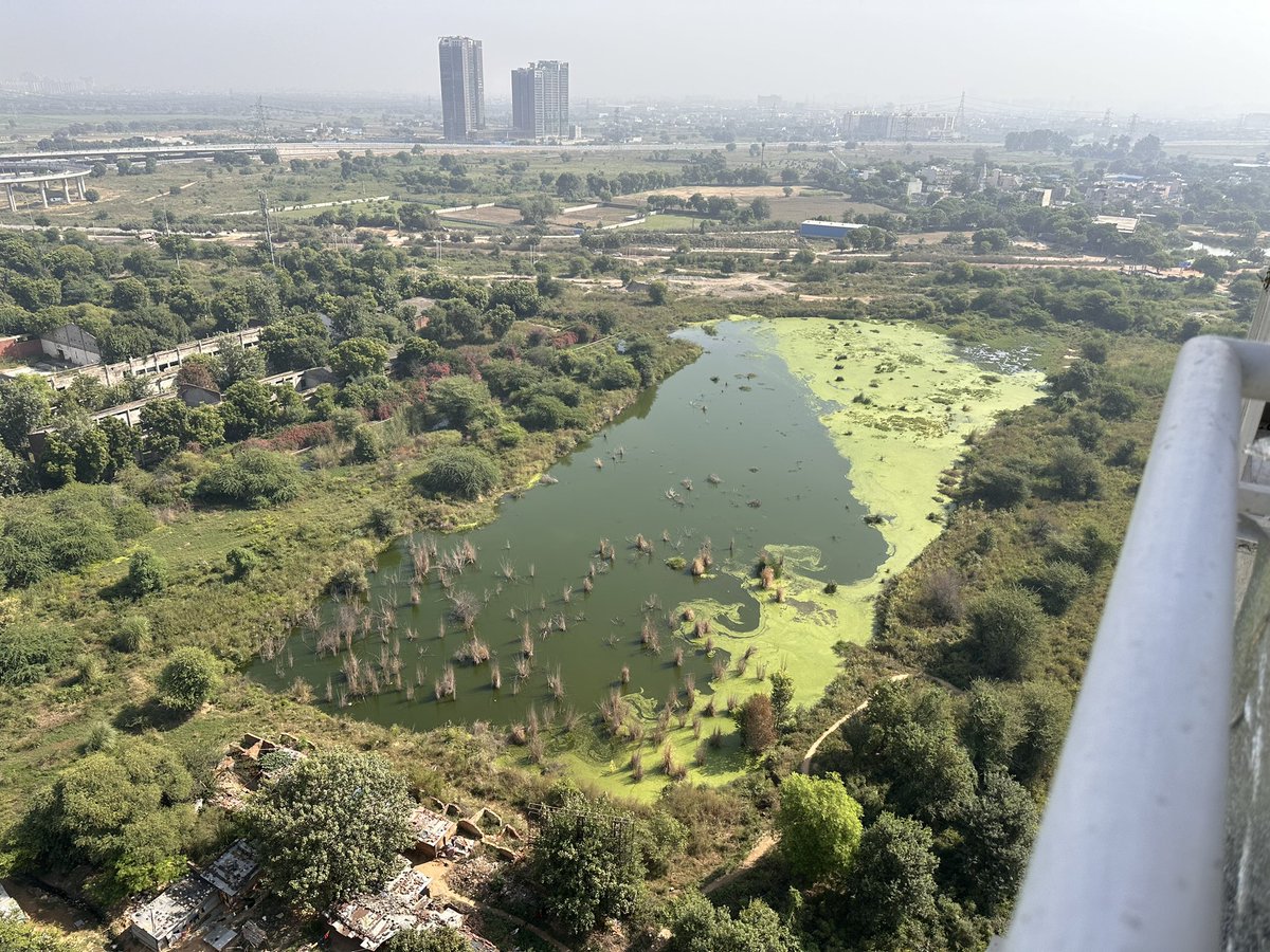 TaranSi92575359's tweet photo. While BJP is celebrating cleaning India on Gandhi Jayanti, this is the view of Dwarka Expressway from
Past 1 year, and this is the scene from their own BJP Member Of Parliament Mr Sukhbir Singh Jaunapuriyas owned Society. Backside of SS Coralwood, sector 84 Gurgaon https://t.co/qsR4U4itXg