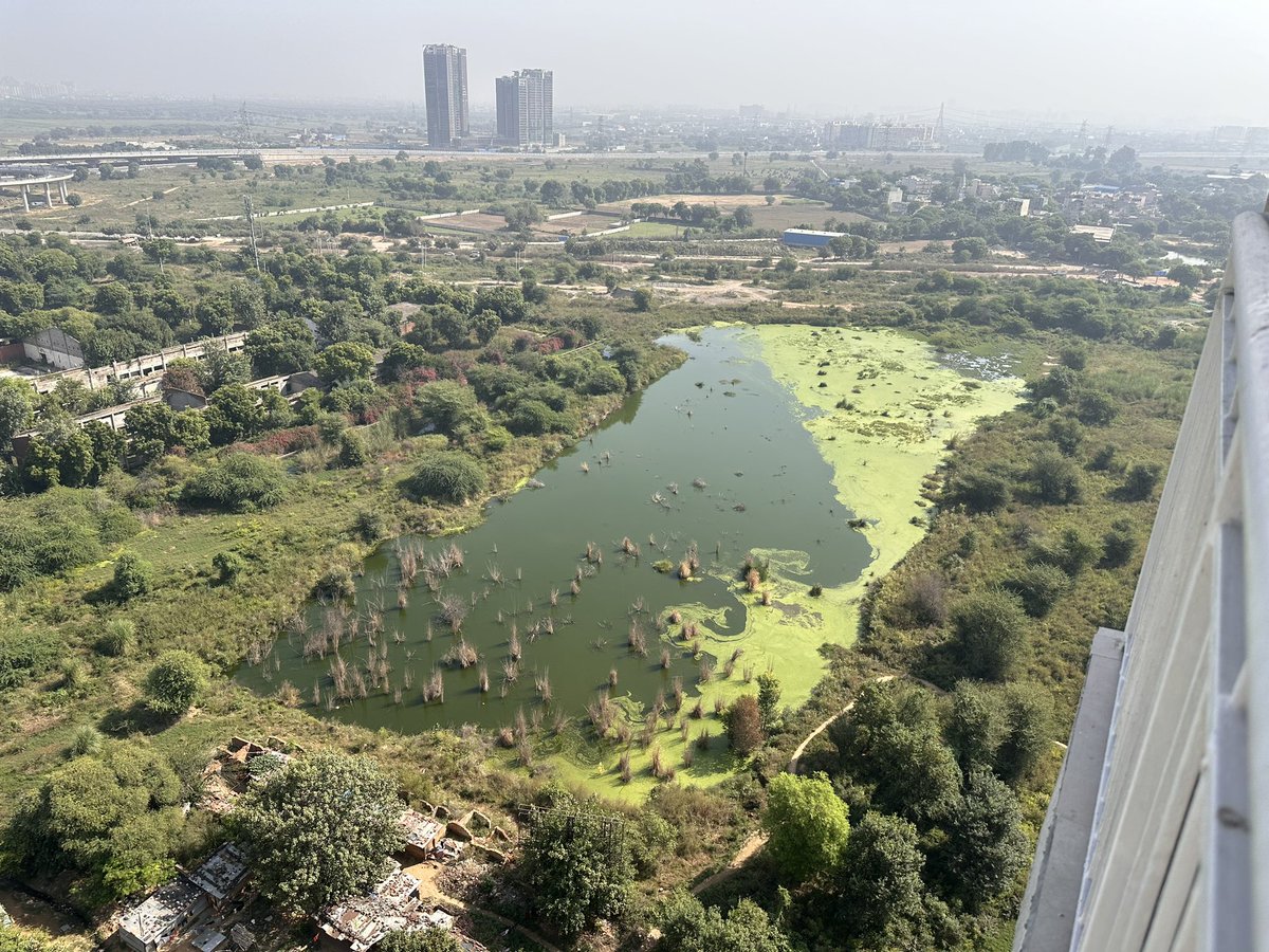 TaranSi92575359's tweet photo. While BJP is celebrating cleaning India on Gandhi Jayanti, this is the view of Dwarka Expressway from
Past 1 year, and this is the scene from their own BJP Member Of Parliament Mr Sukhbir Singh Jaunapuriyas owned Society. Backside of SS Coralwood, sector 84 Gurgaon https://t.co/qsR4U4itXg