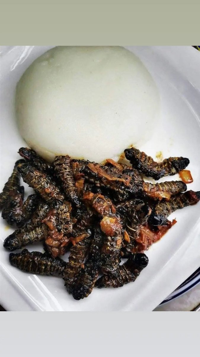 Munaka_Wamani's tweet photo. ๐: Pretoria East "Silverton"
๐:Nationwide courier
๐:0727624228 /0815724879
#Vendatwitter #VhuvhambadziDrive #DjSbu #MopaniWorms #GirlTalkZA #InCaseYouMissedIt #Zenani #Jada #Redi #SindiDlathu #LeratoMvelase #Betway ๐๐๐ https://t.co/0h1N3ankTK