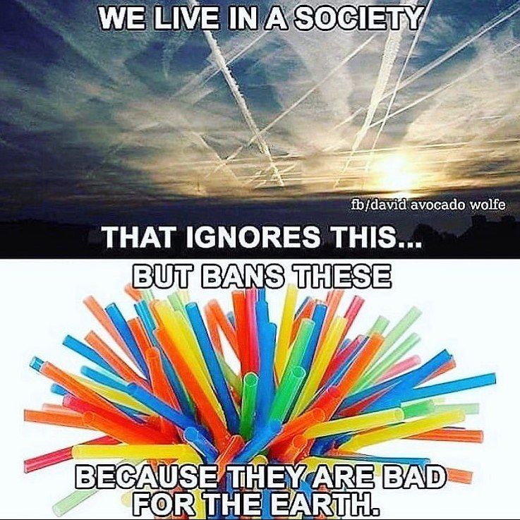 iluminatibot's tweet image. 