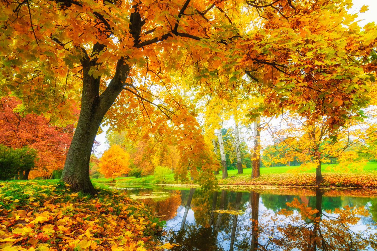 “I can face the winter with calm. Crisp and sparkling days, long pleasant evenings, cheery fires. Good work shall be done this winter. Life shall be lived well. The end of the summer is not the end of the world. Here’s to October.” ~A.A.Milne #October #October1 #nature