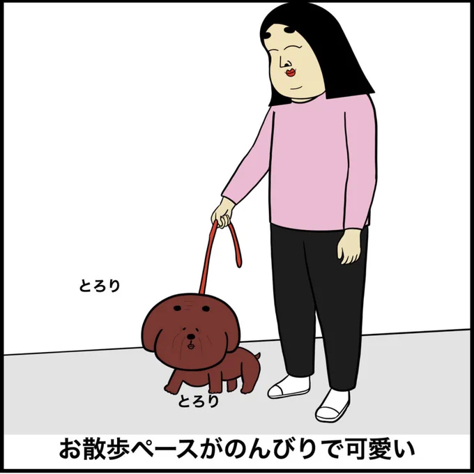 高齢な犬あるある