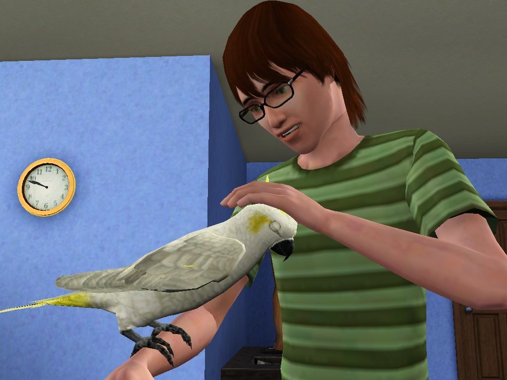 adibahts3's tweet photo. It's possible to be friend with your sim's minor pet (bird, snake, turtles, etc)
.
#thesims3 #ts3 https://t.co/woNTNJFKqu