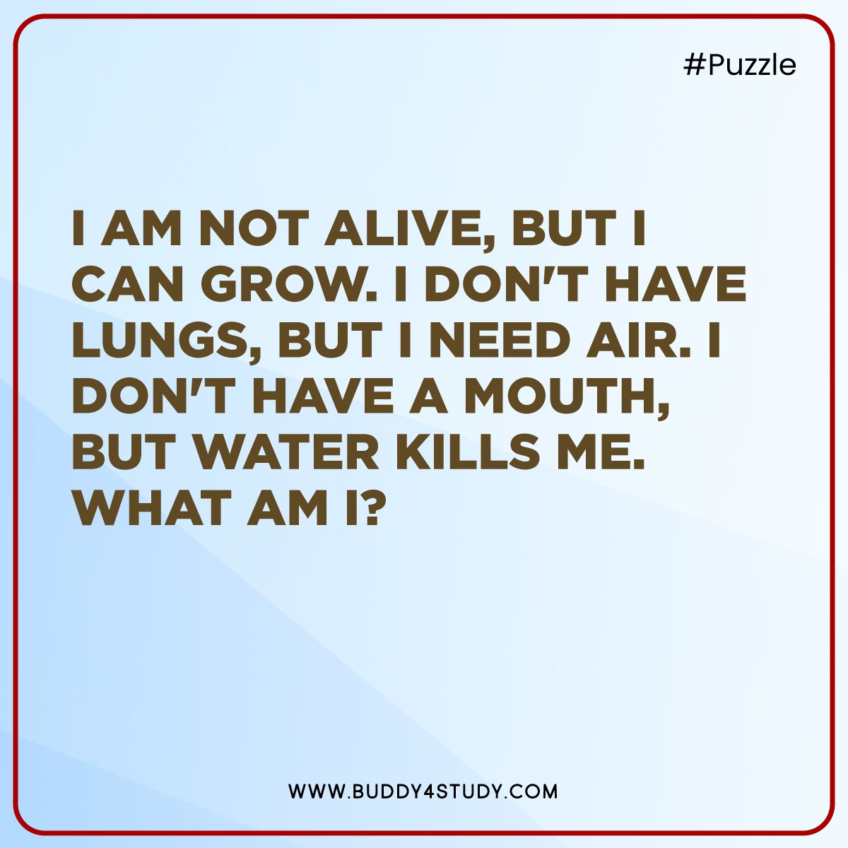 Buddy4Study's tweet image. Hint: It needs oxygen to grow. 

#BrainTeaser #RiddleSolved #PuzzleFun #Buddy4Study
