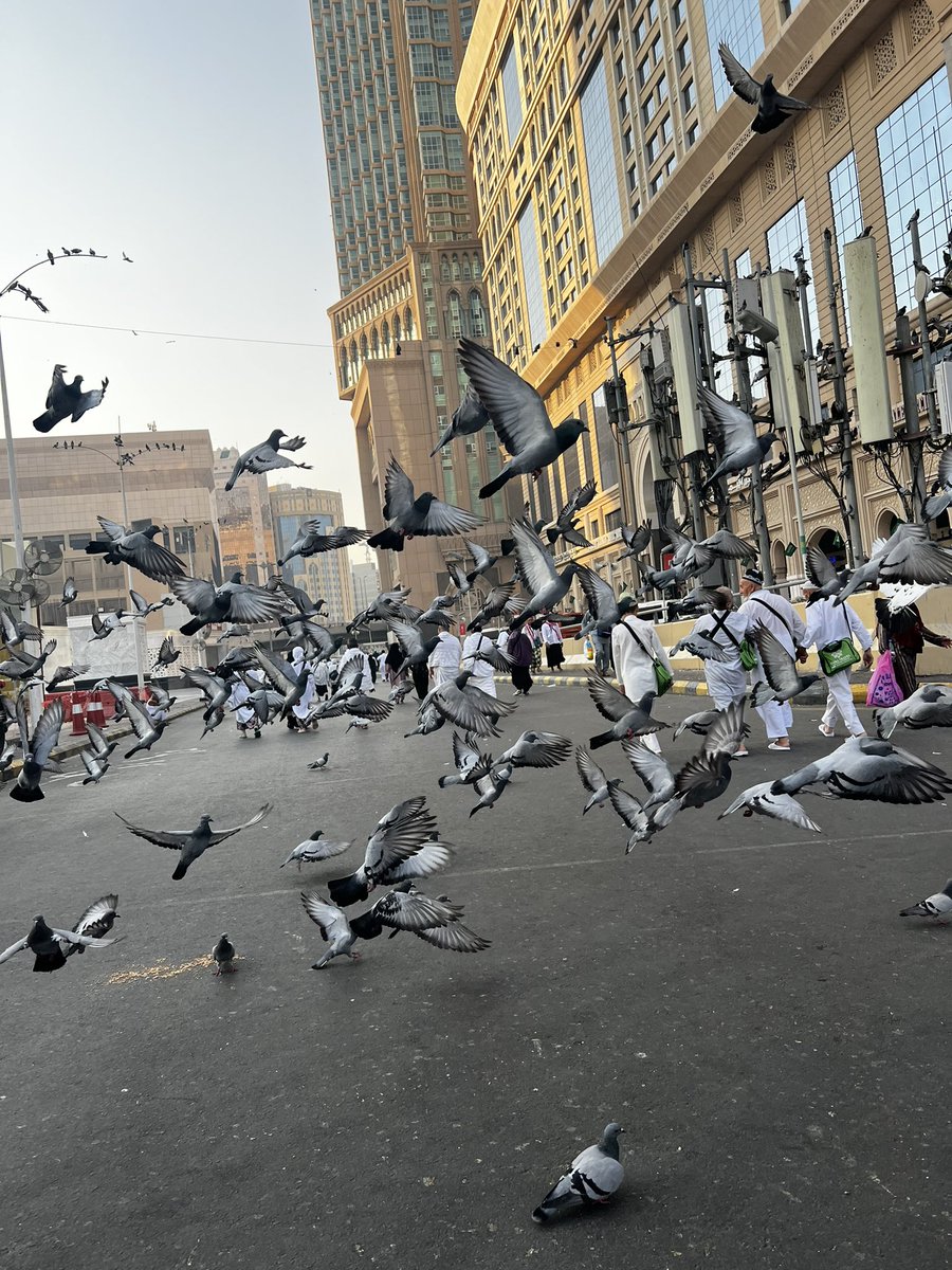 ouhnfff's tweet photo. الحمدالله🤍 https://t.co/67FC9uREI5