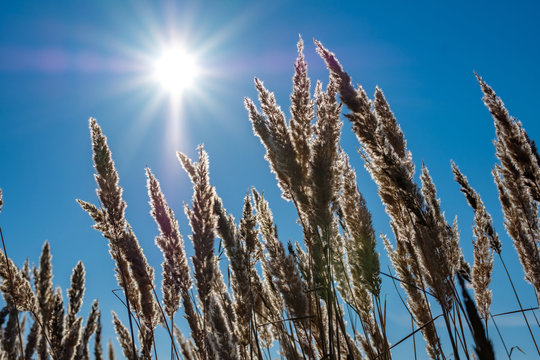 2112Westy's tweet photo. "My beloved October has returned—with its brilliant colours, cool temperatures, and sunny, cloudless, azure skies, and I must enjoy it before it escapes for another year."  

Peggy Toney Horton 

Somewhere in Heaven My Mother Is Smiling 
#October #bookchatweekly https://t.co/0FDAkpBaIV