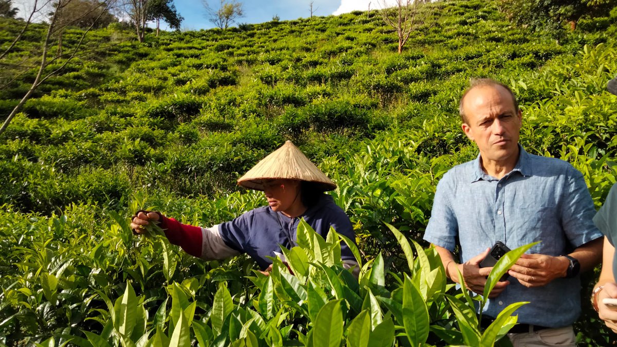 Francois_Roger's tweet photo. 🌱 ☕️ @Cirad Field visit @ASSETProjectSEA in 🇱🇦
#dP_ASEA https://t.co/gD0eLfwiW0