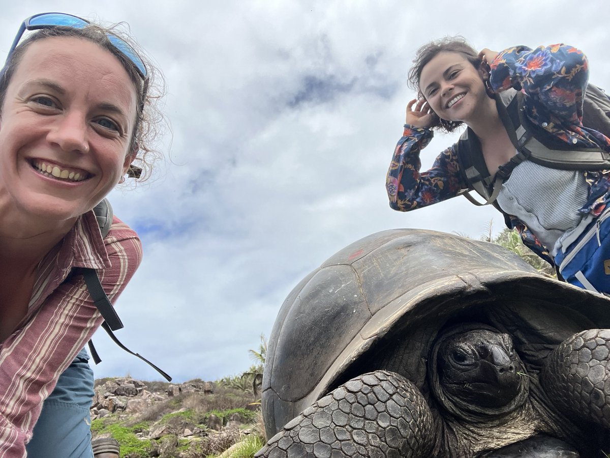 _Laura_GomDe's tweet photo. First PhD fieldseason🌴 comparing pollination networks 🐝🌸 across habitats in Fregate Island within the #IslandLife project with @alba_costa_ https://t.co/lLLWEgaSUB