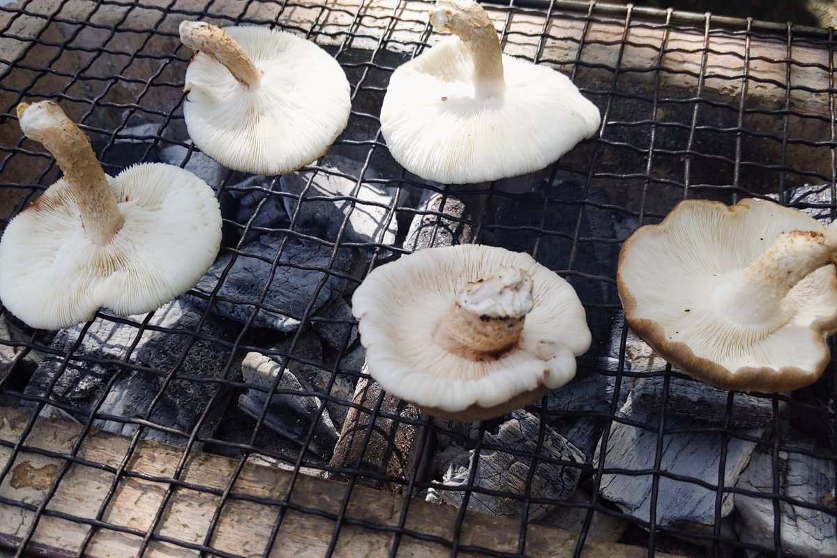食った