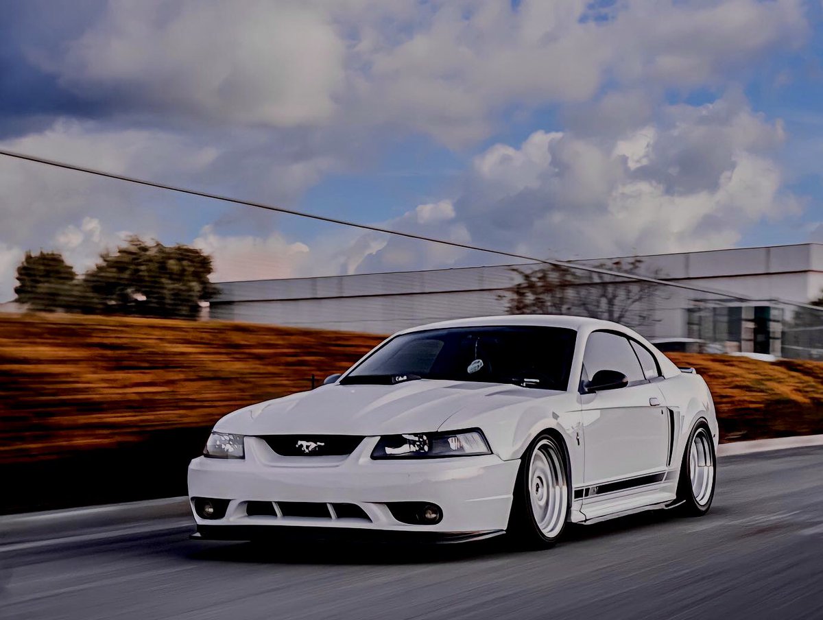 SVT_Cobras's tweet photo. #Mach1 | Cruising… on a Sunday afternoon. Beautiful rollin’ shot
#Ford | #Mustang | #MachOne https://t.co/zhr3yEEZsL