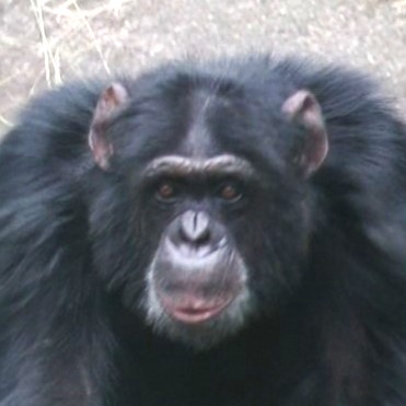 パン君様 今日はパンくんの誕生日🎂 22歳になりました❗️ 凛々しくなってきまし