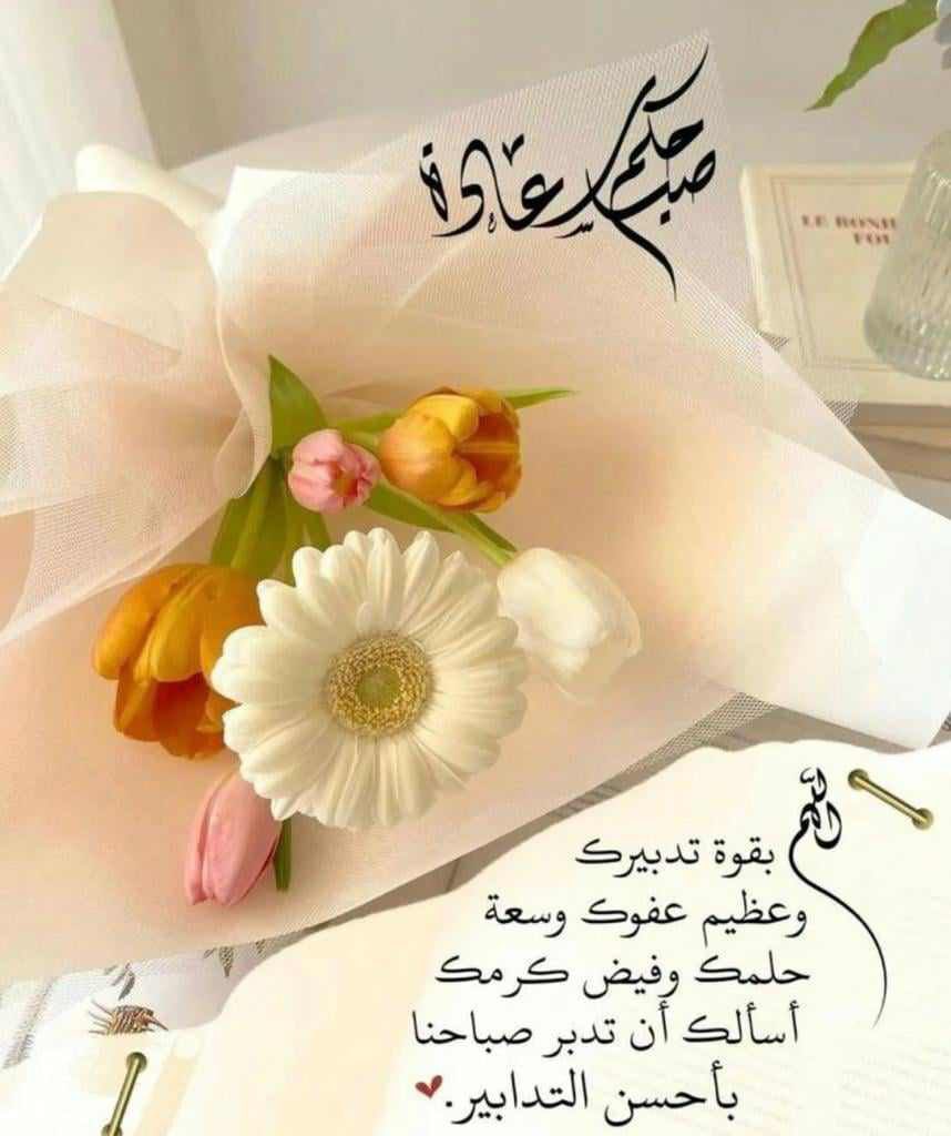 محمد بن سعيد tweet media