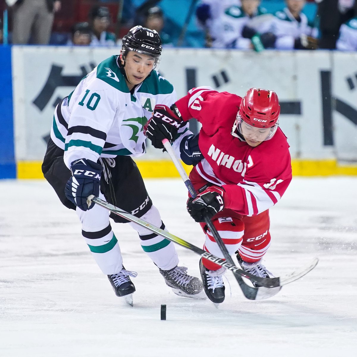 icehockeystream's tweet photo. [2023/10/1] #大東文化大学 4-2 #日本大学

▼
#2023年度関東大学アイスホッケーリーグ戦
#関東大学アイスホッケー
#東京都アイスホッケー連盟
#アイスホッケー #icehockey 
▼
#SonyAlpha #SonyAlpha9 #Sonyα9 #SonyA9 https://t.co/WYodR9sQNw