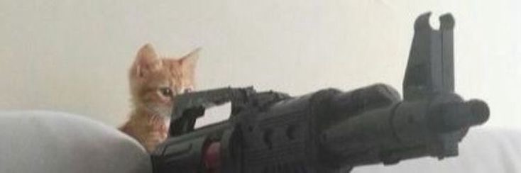 aweenatwt's tweet image. dewey when katia talks shit about him