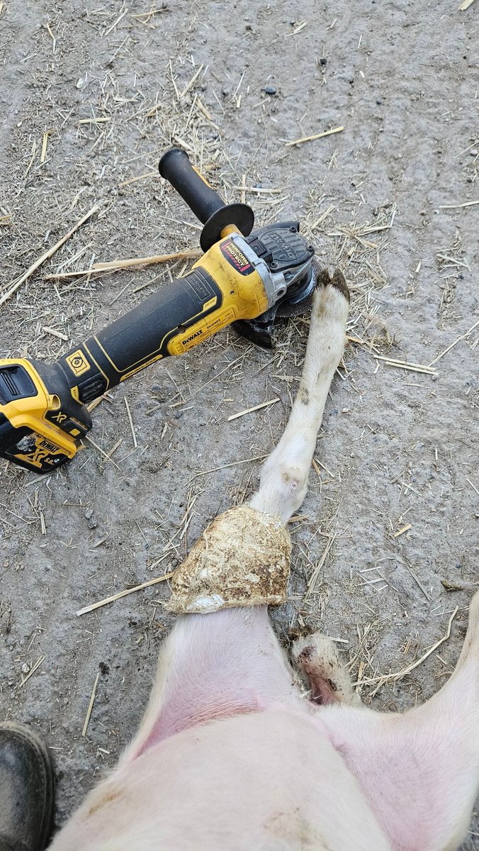 guillaume_redon's tweet image. J&apos;enlève les plâtres sans rdv avis aux amateurs 😄
#medecinedouce