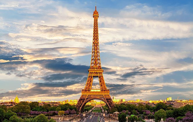PopTingz's tweet photo. Bedbugs have taken over Paris and have infested places like the subway, movie theaters, and the airport. Paris’ deputy mayor warns:

 “no one is safe.” https://t.co/YTdtI35kqP