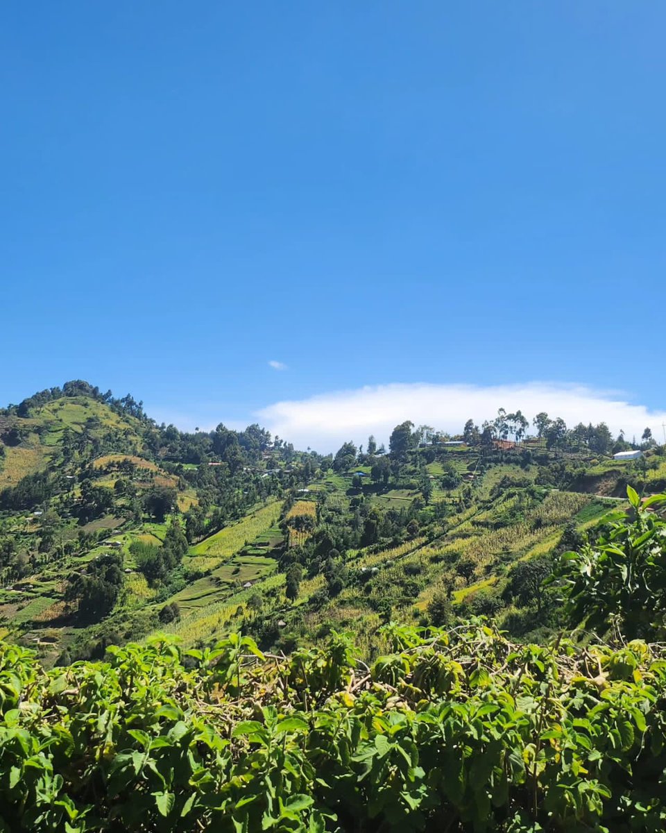 #Serene #MyLandIsKenya