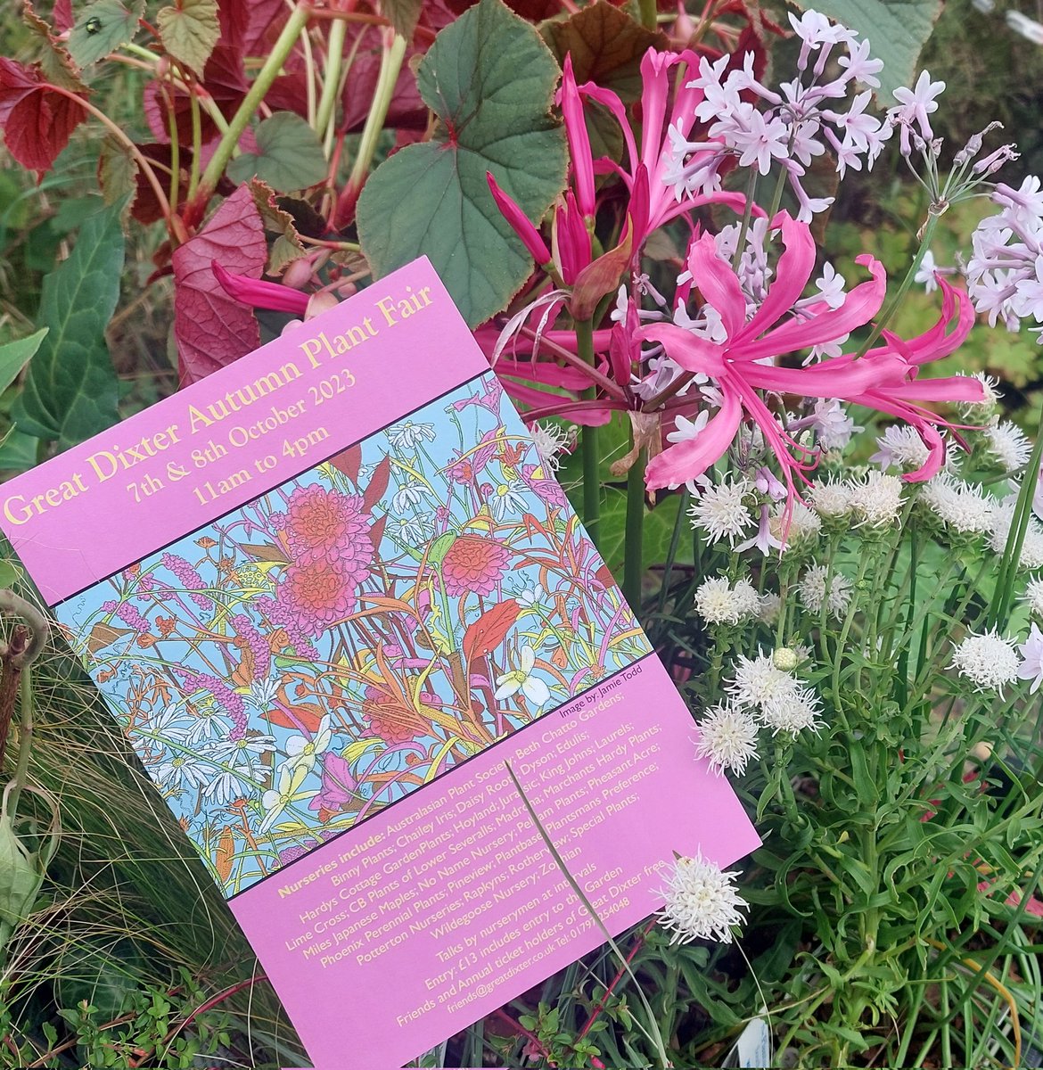 I'm starting to think about what plants I'll be taking to the <a href="/GreatDixter/">Great Dixter</a> Plant Fair next weekend (two days of mail orders to pack first!).

If you'd like me to take an order for you please let me know ASAP and certainly by Wednesday night. You can order online - 1/2