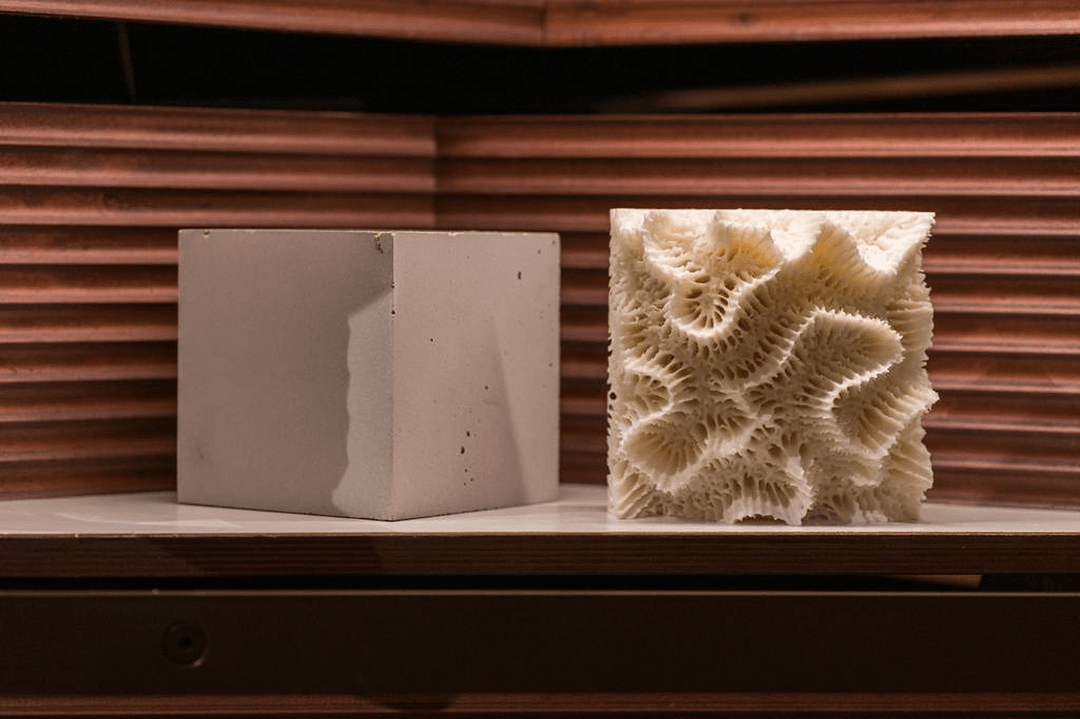 KAUST_News's tweet photo. The #Saudi pavilion at the 18th International Architecture @la_Biennale in Venice displayed a carbon-negative solution for coral restoration, a result of collaboration between #KAUST and @PartannaPress, which develops concrete manufacturing processes that remove #carbon from the atmosphere.

https://t.co/GD1WNUtRkU