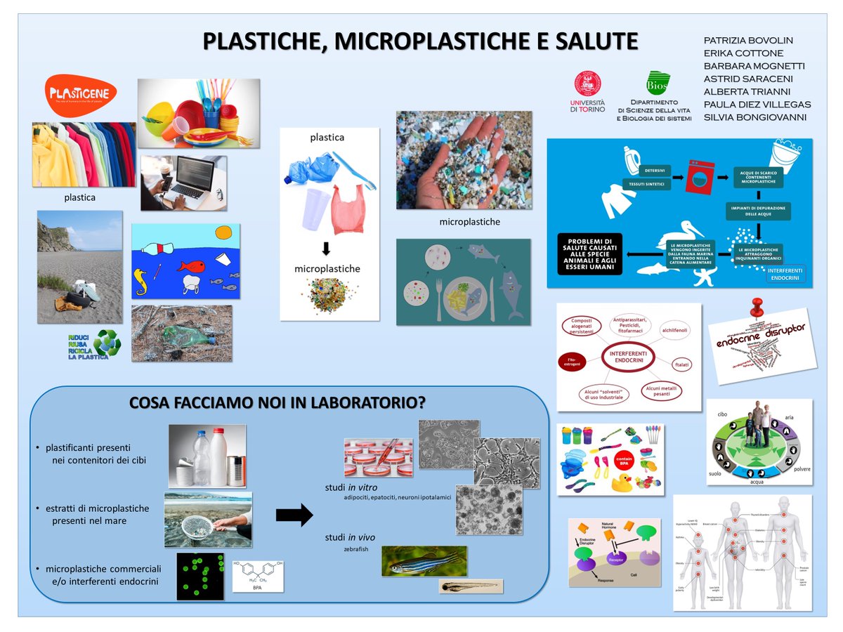 dbiosunito's tweet image. UNIGHT 2023 - Tanti giochi per tutte le età nell&apos;Area Play dei Giardini Reali con &quot;PLASTICHE, MICROPLASTICHE E SALUTE: TU QUANTO NE SAI?&quot;

#UNIGHTproject #united4research #notteeuropeadeiricercatori #MSCAnight #EuropeanResearchersNight