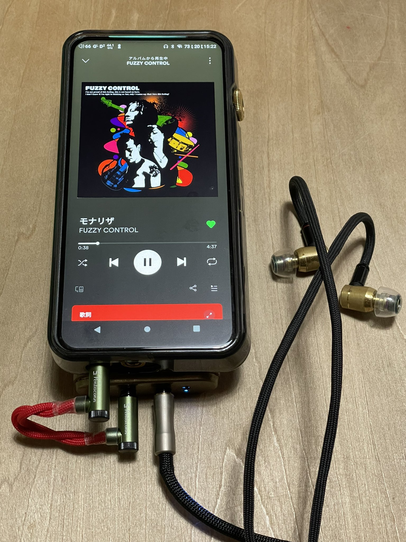 Essence Audio JE-FI1-S 4.4mm to 4.4mm - その他
