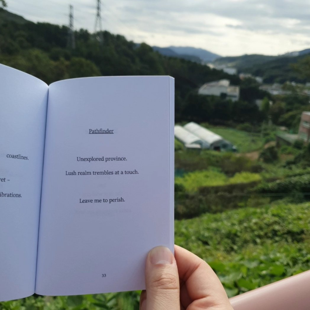 This month is Missing the Mark's first bookversary  🎂🥳🎉

To celebrate, for the first time ever (quite possibly the only time) I am making the .pdf file available for FREE download!

poetrybyashe.com/free-download-…

#freebook #poetry #haiku