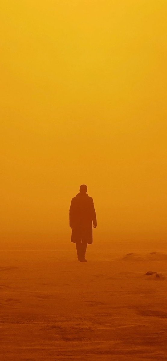 pictures (@pictures) on Twitter photo 