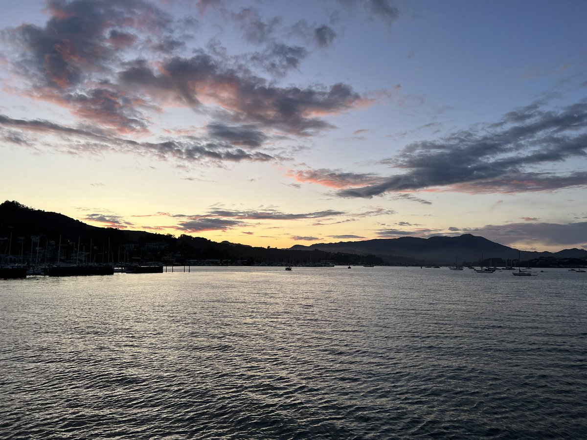 Angel Island - Tiburon Ferry & Captain Maggie ⚓️ tweet media