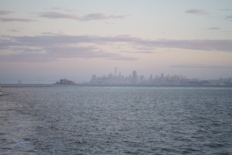 Sunset Cruise tonight! 😍 only 4 dates left for the season. Grab your picnic and get on the boat! 🥳 #angelislandferry #sunsetcruise #goldengate #views #sausalito #tiburon