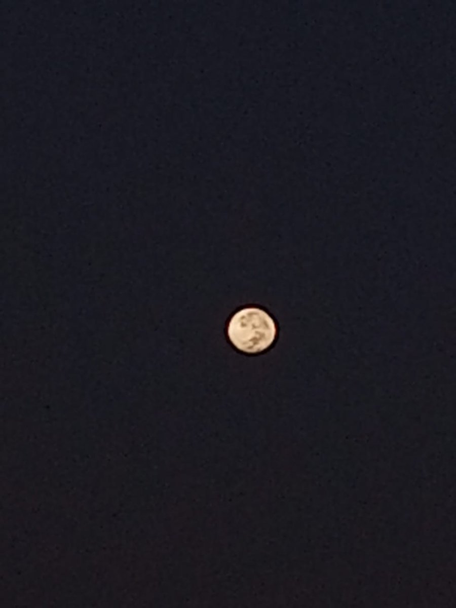 AOLMahuaDS's tweet photo. The clearest picture of the Moon , shot from my phone , last night by my Nephew Vikram 

#HeartisintheMoon
#MoonKnight
#MoonFestival

❤ https://t.co/im1lW3Dngk