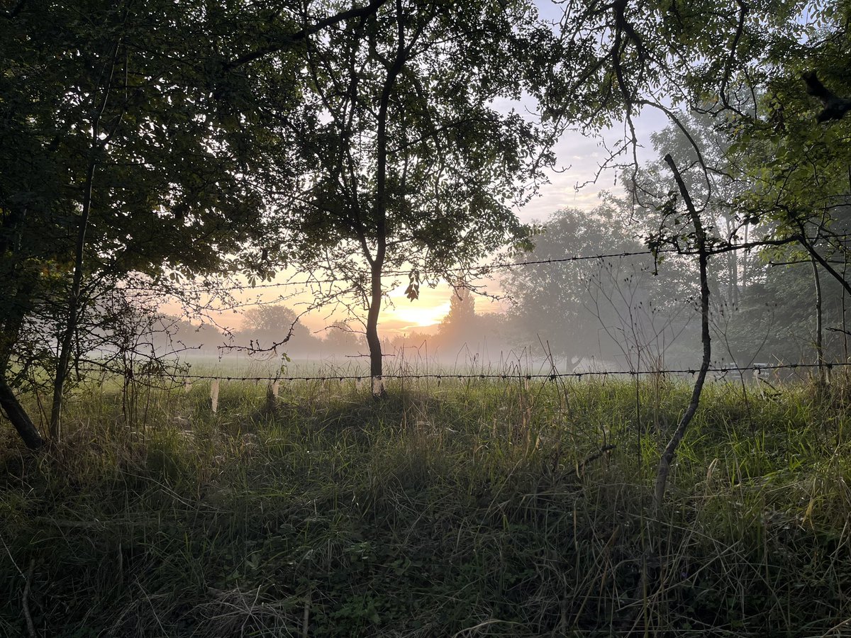 Good morning from #Oxfordshire
