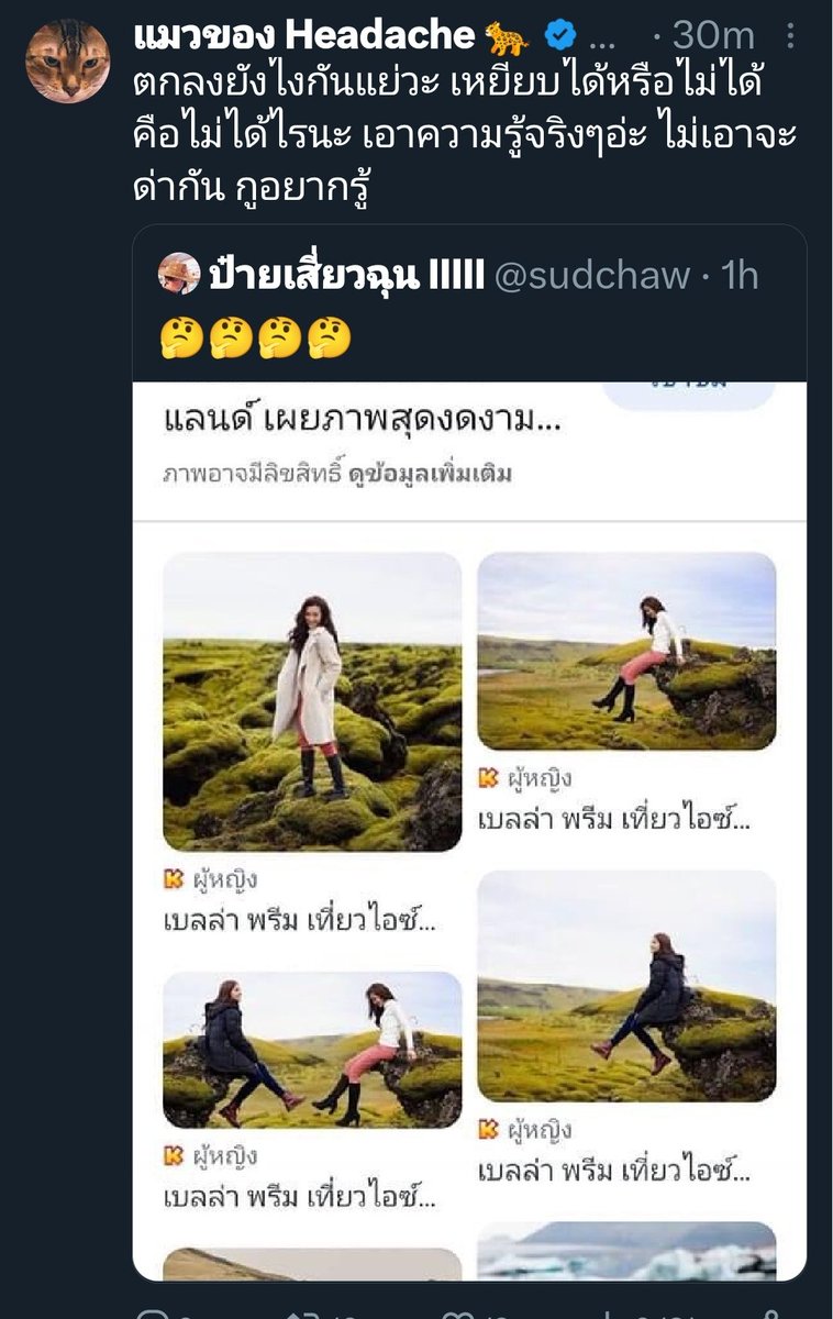 . tweet media