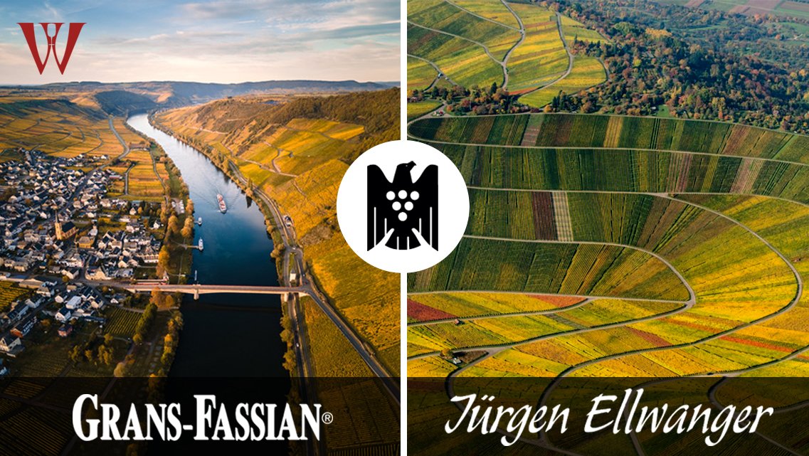 🍷The WineBarn are delighted to introduce two new #wine makers, both of which are member of the @VDP_Estates. Grans-Fassian from the Mosel region and Jürgen Ellwanger from the Württemberg region join our portfolio of accomplished wine producers. the-winebarn.myshopify.com/blogs/news/int…