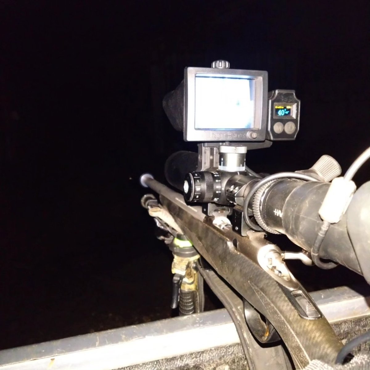 Tommy Dobson tweet media