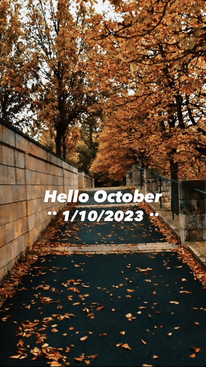Islam_himoni's tweet photo. 🤍🍂 https://t.co/Dy2i2TqoiD