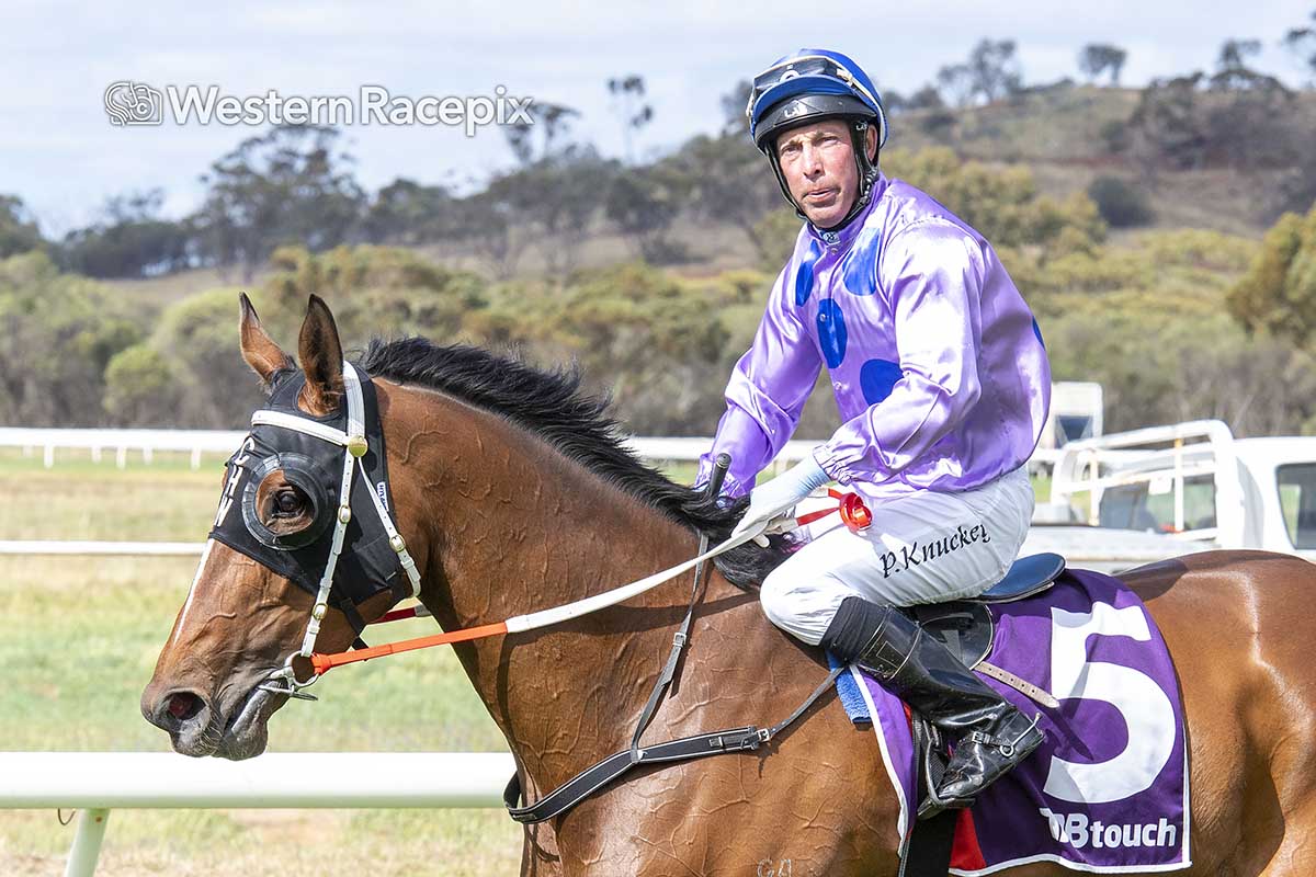 WesternRacepix's tweet photo. INTERVENTION - Northam Sun 1st October @NorthamRaceClub #WesternRacepix #NorthamRaces

More 📷 https://t.co/XhRFkk00xX https://t.co/45drBbJcjx