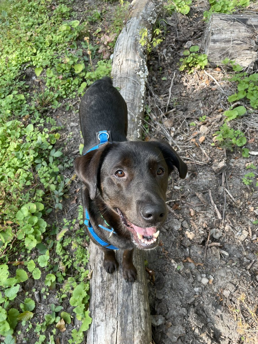 Guten Morgen liebes #Twitterrudel, am Sonntag früh ein wenig balancieren -Frühsport-so wichtig ☝️. 
Habt den Tag pfein Pfreunde ❣️