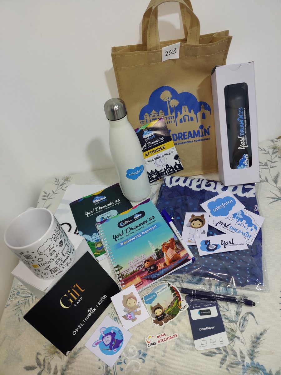 harshika03's tweet photo. Lots of love and appreciation for these amazing swags 😍💝
#Salesforce #YarlDreamin23 #ysfo https://t.co/KyHdp87xF0