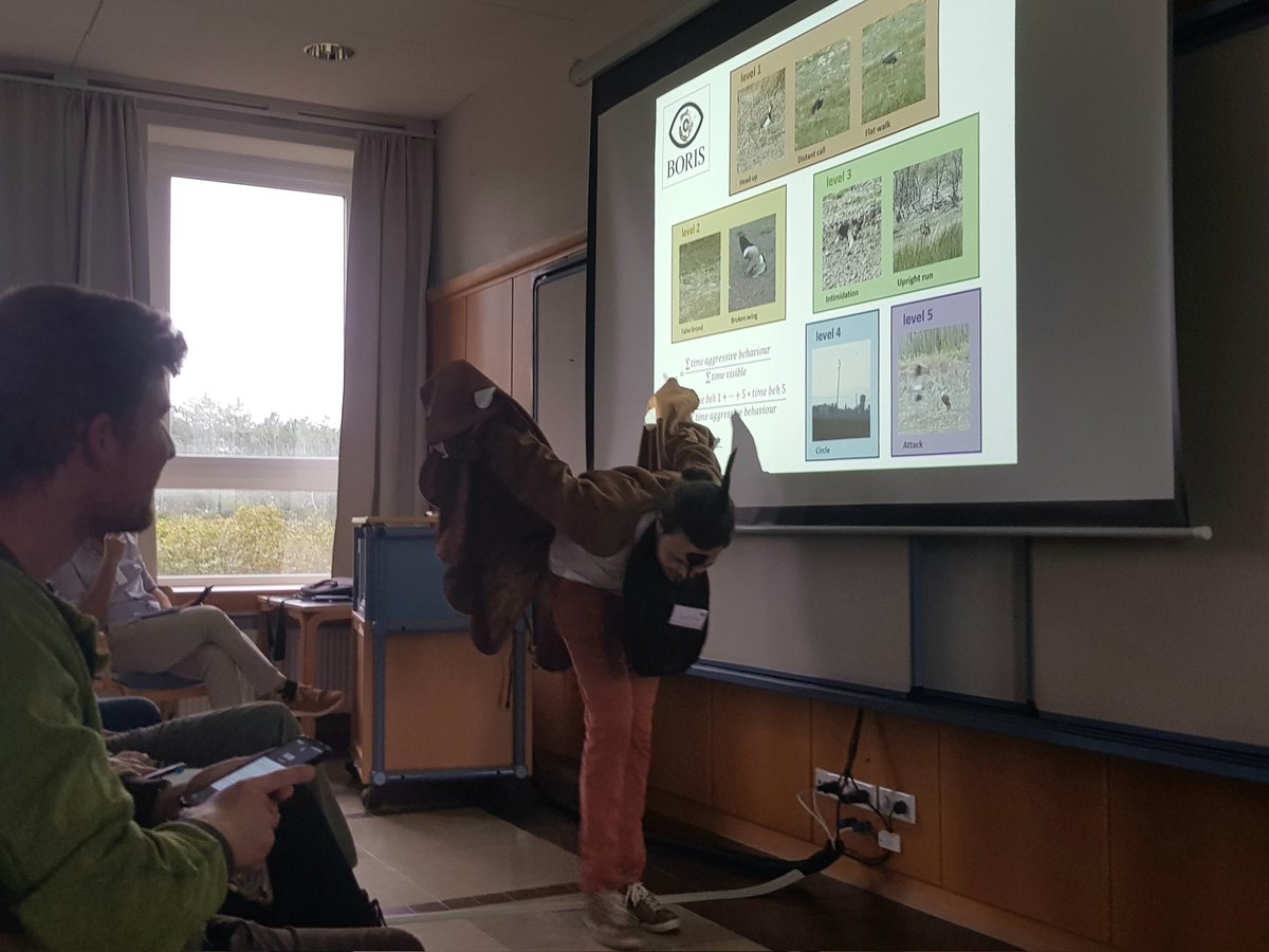 _Marc_Gilles's tweet photo. Fantastically engaging talk by @dillenseger_g on the nest defense behaviours of lapwings 👌 #IWSG2023 https://t.co/GkAkZIeHRd