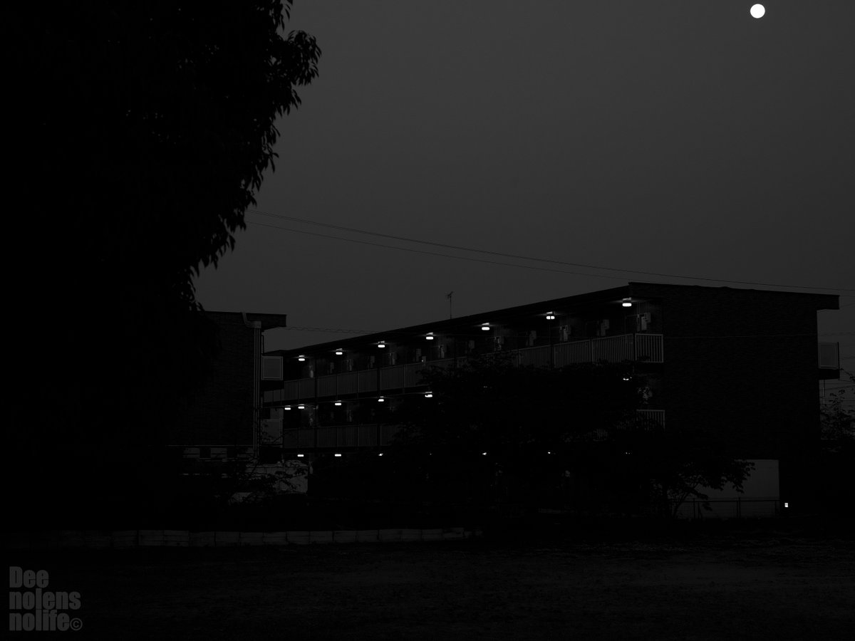 夕方散歩 0504-06
#Leica #SILKYPIX #lovephotography