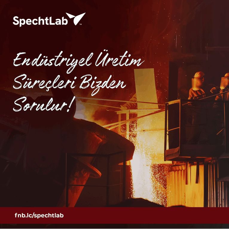 SpechtLab tweet media