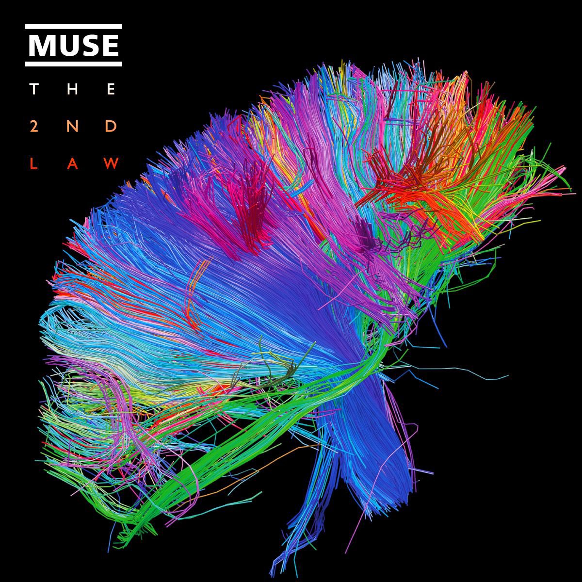 Muse France tweet media