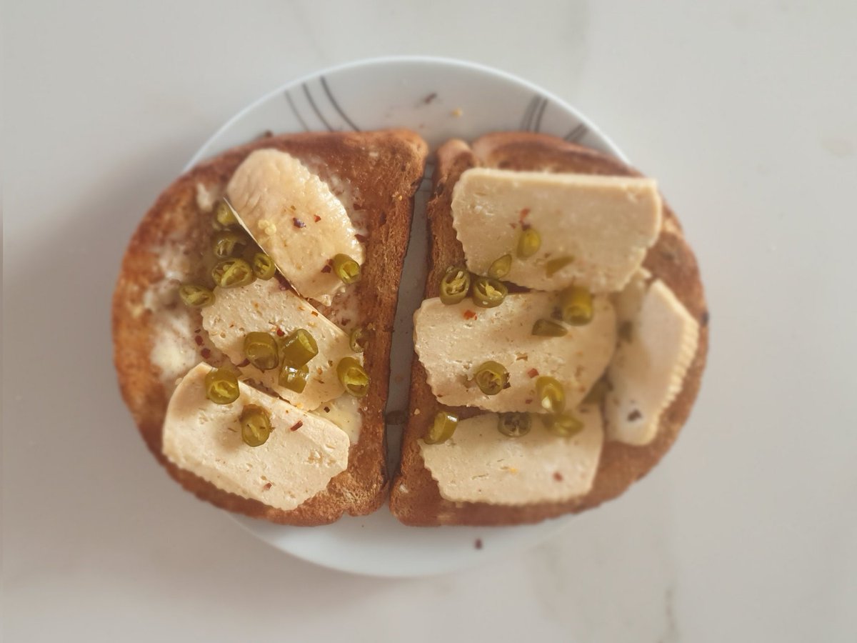 Red_Geddes's tweet photo. When your Cypriot friend gives you village 'wet' halloumi and home made pickle you can breakfast like a king. #Tasty https://t.co/x1SgesPo0B