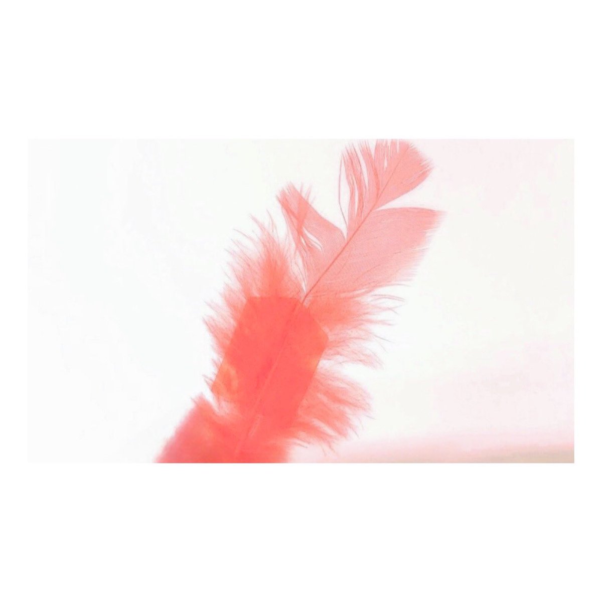 希少　ユリエ・オオサワ　直筆サイン　WCCF　footista　大沢友里江 希少 ユリエ・オオサワ 直筆サイン WCCF footista 大沢友里江 Yurie