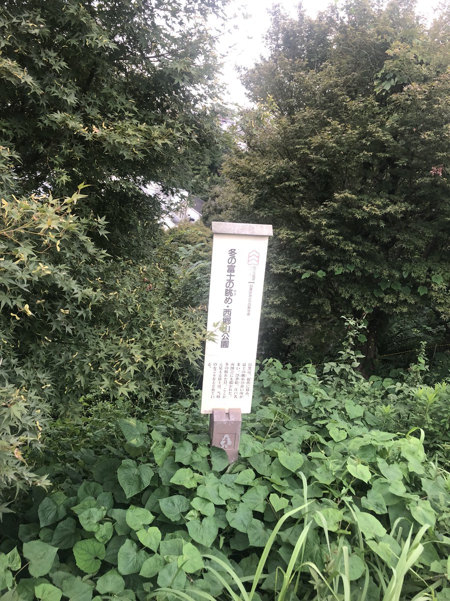 代官山付近でチルすぎる公園発見💡