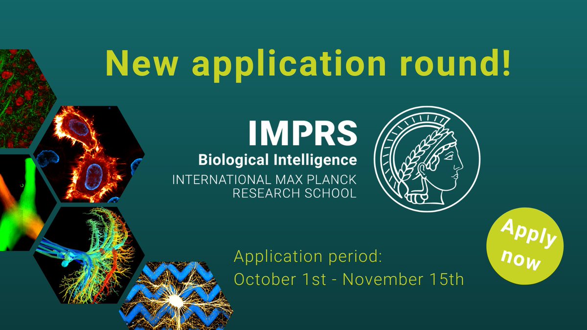 Apply for your PhD at IMPRS-BI! From behavioral ecology to neuroscience – become a student in our graduate school in Munich, Germany and join the exciting research of biological intelligence. 
Application period: October 1st to November 15th. 
Find out more:
