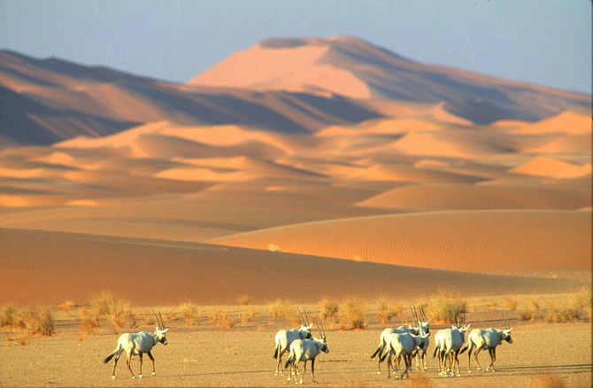 Uruq Bani Ma’arid Reserve has become the first natural site in Saudi Arabia to be added to UNESCO’s World Heritage List!!!

#saudiarabia #unescoheritagesite
#SaudiTimes