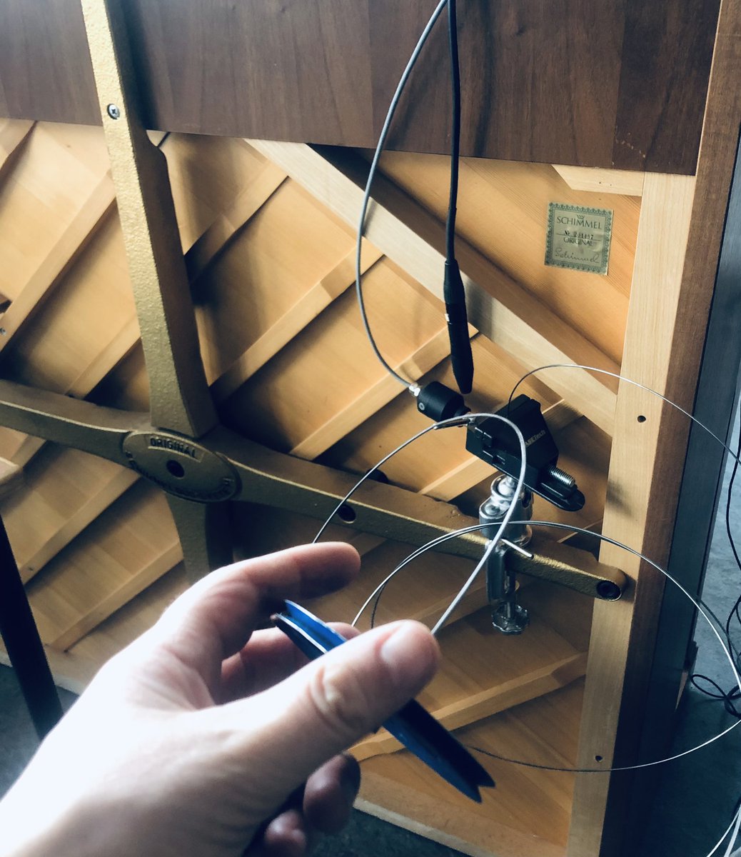 Katrine Amsler tweet media