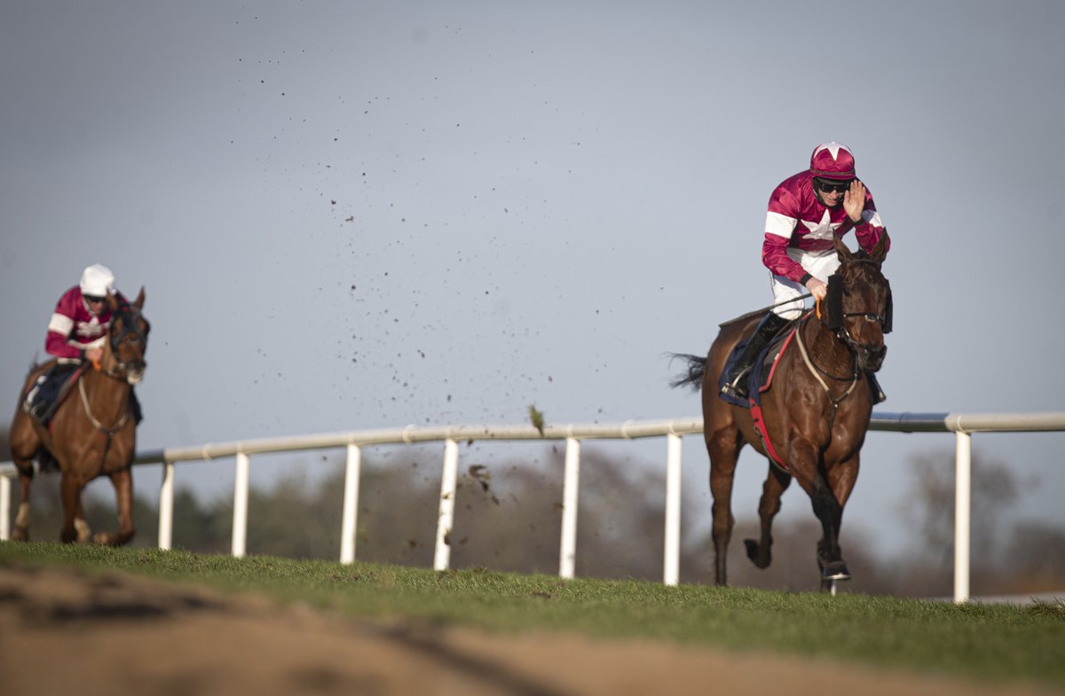 LeopardstownRC's tweet photo. 🌱Point-To-Points To Grade 1's 🏆

Irish Point-to-points kick start this weekend at Castletown-Geoghegan 🏇

In 2018 Fury Road won his Point-To-Point and 2021 brought him success in The Neville Hotels Grade 1 Novice Steeplechase at the Leopardstown Christmas festival✨ https://t.co/gRetBGaBhV