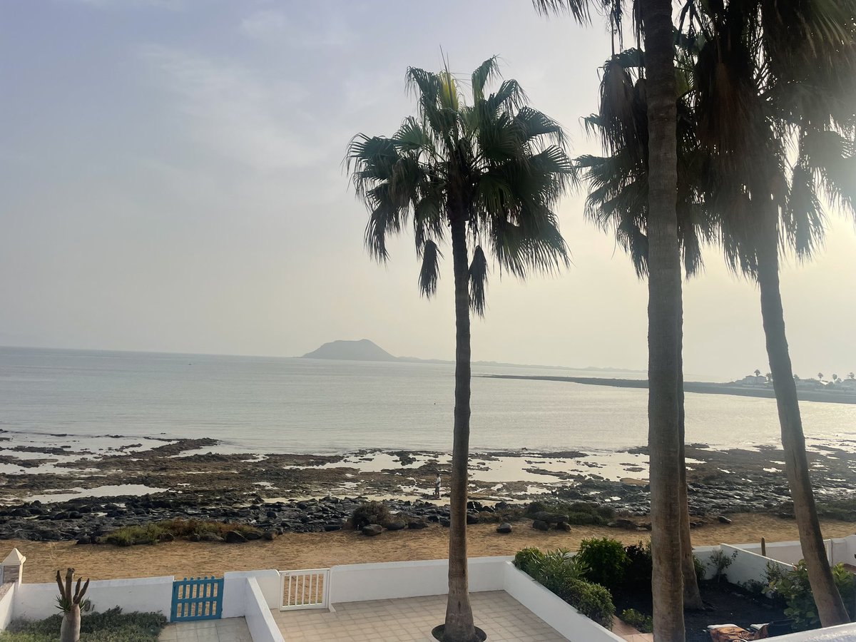 Samwill444's tweet image. #corralejo #holodays